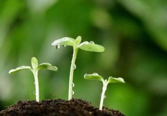 全自动微量元素分析仪厂家谈健康长寿的方法有哪些? 全自动微量元素分析仪厂家谈健康长寿的方法有哪些?