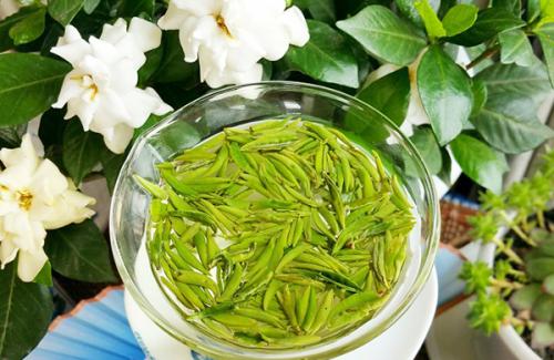 全自动微量元素检测仪厂家喝竹叶茶有哪些副效果 全自动微量元素检测仪厂家喝竹叶茶有哪些副效果