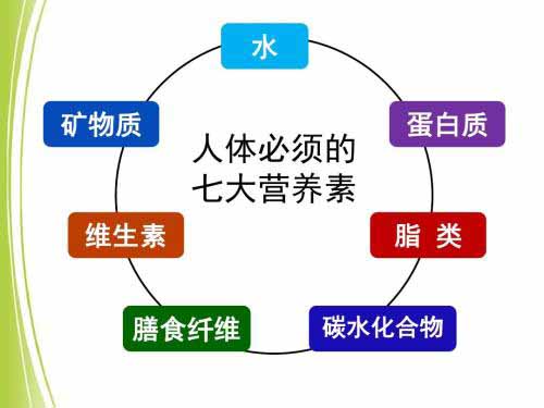 微量元素检测仪价格对人体所需养分素概述 微量元素检测仪价格对人体所需养分素概述