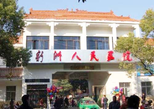 新洲人民医院采购GK-2全自动微量元素检测仪 新洲人民医院采购GK-2全自动微量元素检测仪