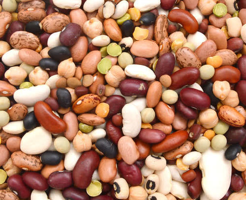 微量元素分析仪厂家有哪些小豆对人体有什么影响？