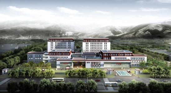 微量元素测定仪品牌被西藏自治区第二人民医院采购 微量元素测定仪品牌被西藏自治区第二人民医院采购