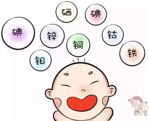 微量元素分析仪