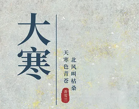 微量元素检测仪品牌-大寒至 年关将近 踏雪迎春(图1)