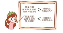 儿童微量元素分析仪器是什么检查项目可以吃饭吗？医院值不值得买