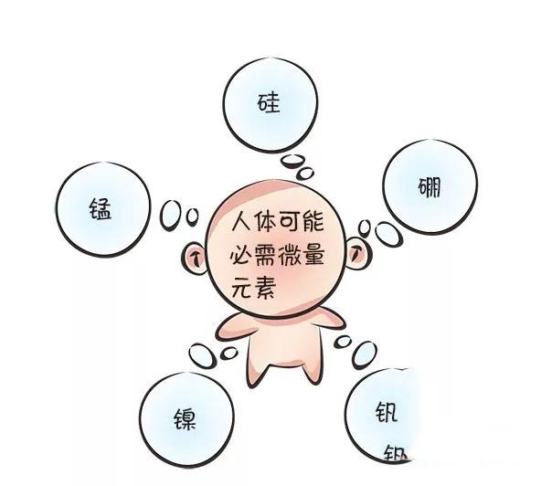 人体微量元素测试仪器 人体微量元素测试仪器如何检测身体中微量元素的含量 是否靠谱?