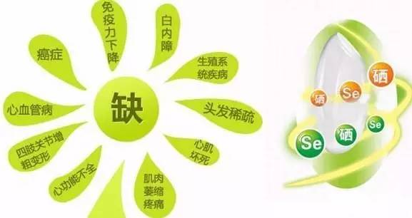 微量元素测试仪品牌 微量元素测试仪品牌对对婴幼儿营养评估有没有意义