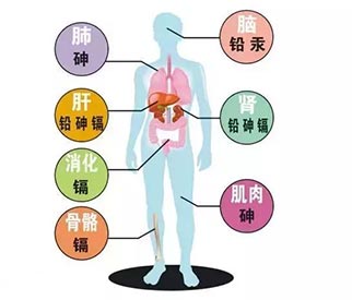 国内微量元素测试仪品牌关于微量元素那些你不知道的事情值得收藏